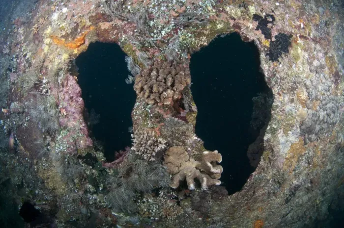 Framed Print : Holes in coral encrusted shipwreck, USAT Liberty (US Army transport ship torpedoed during WWII), Tulamben, Seraya