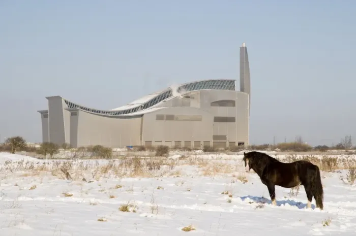 Framed Print : Horse, adult, standing in snow, used for conservation grazing on marshland Framed Print : Horse, adult, standing in snow, used for conservation grazing on marshland
