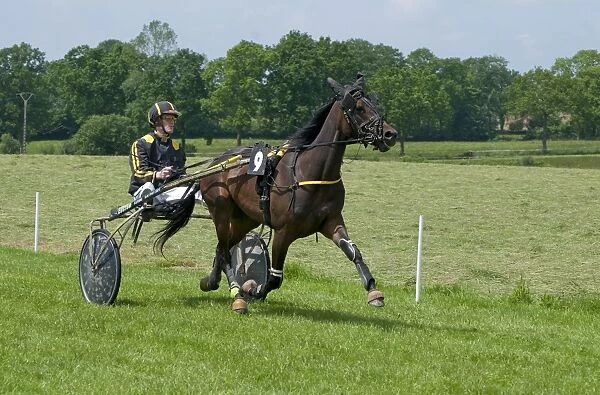 Horse racing, harness racing at racecourse, Bourigny Racecourse, Normandy, France, June