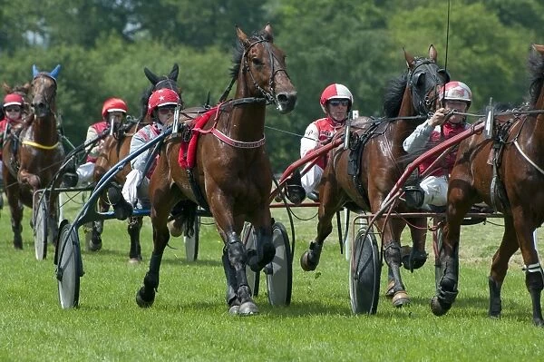 Horse racing, harness racing at racecourse, Bourigny Racecourse, Normandy, France, June