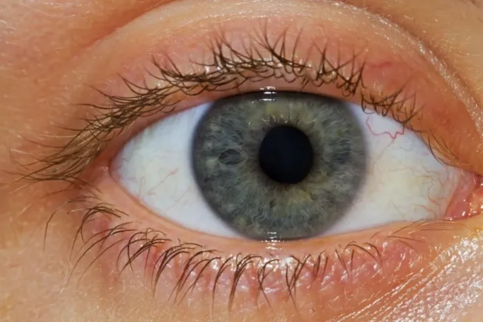 Framed Print : Human, close-up of eye Framed Print : Human, close-up of eye