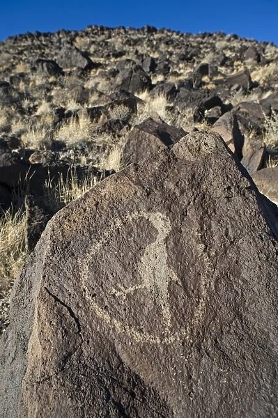 Hummingbird petroglyph carved on basalt rock, Petroglyph National Monument, Albuqurque, New Mexico, U. S. A. january