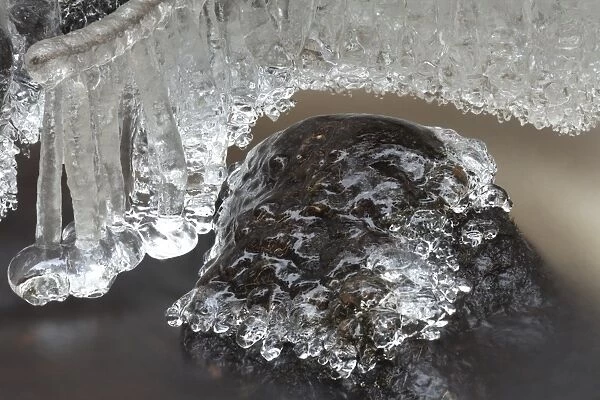 Ice formations in stream, Wyming Brook, Sheffield, South Yorkshire, England, december