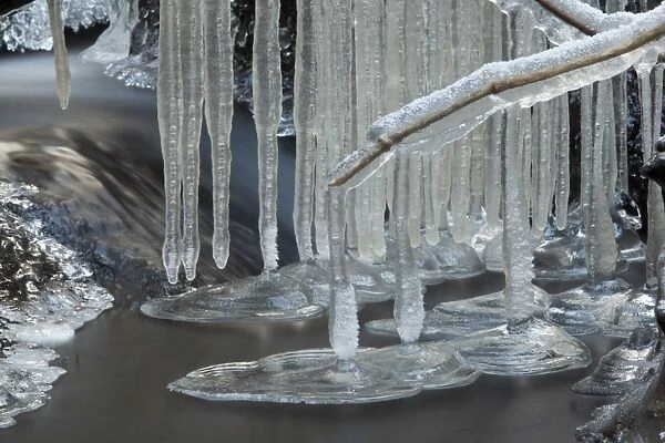 Ice formations in stream, Wyming Brook, Sheffield, South Yorkshire, England, december