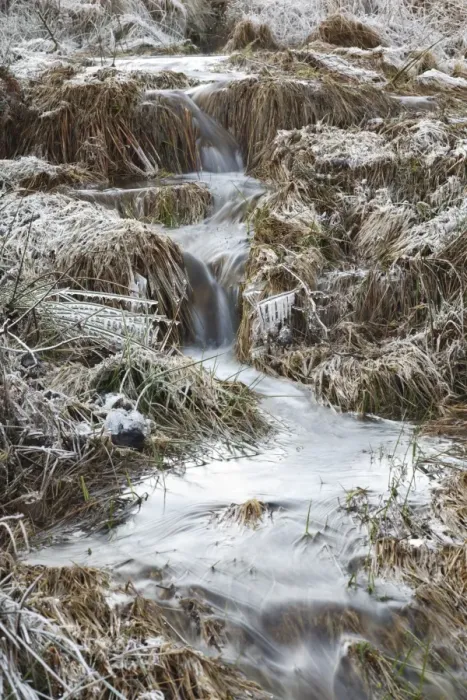 Framed Print : Ice and frost around cascades in upland stream, Powys, Wales, January