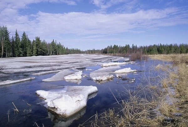 Ice on frozen river thawing and breaking up, near Rovaniemi, Finnish Lapland, Finland, early spring