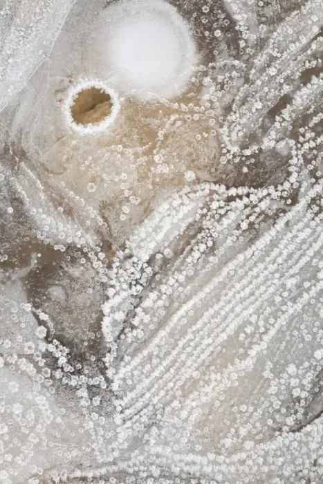 Framed Print : Ice on surface of puddle, after hard frost, Powys, Wales, winter