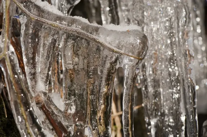 Framed Print : Icicles formed on grass and twigs, England, december