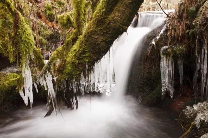 Framed Print : Icicles hanging from branches over cascade in upland stream, Powys, Wales, February Framed Print : Icicles hanging from branches over cascade in upland stream, Powys, Wales, February