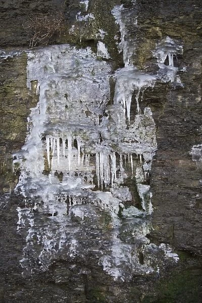Icicles hanging from frozen cliff waterfall, Kimmeridge, Dorset, England, december