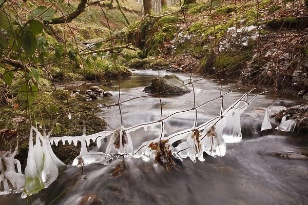 Icicles hanging from wire fence over upland stream, Powys, Wales, February