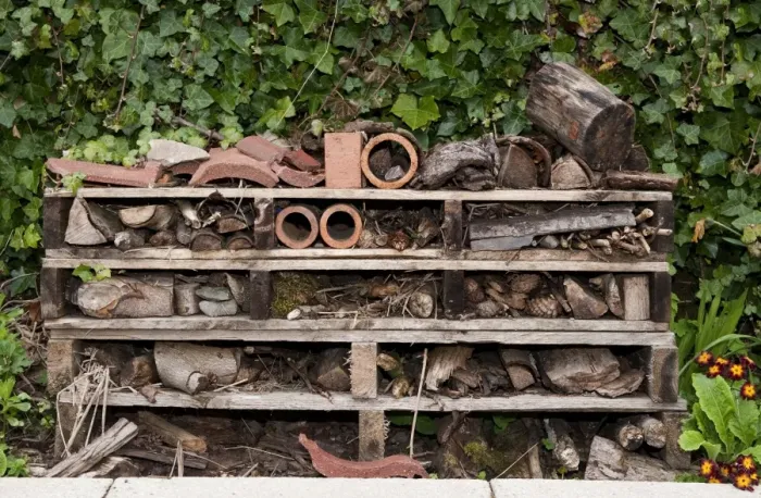 Framed Print : Insect Hotel habitat creation on primary school premises, Cumbria, England, may Framed Print : Insect Hotel habitat creation on primary school premises, Cumbria, England, may