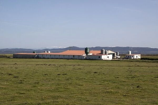 Intensive pig farming sheds on the Belen Plateau, Extremadura, Spain