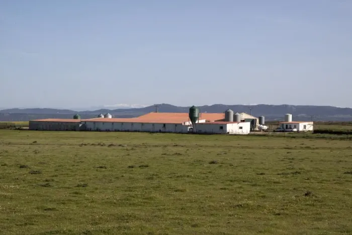 Framed Print : Intensive pig farming sheds on the Belen Plateau, Extremadura, Spain