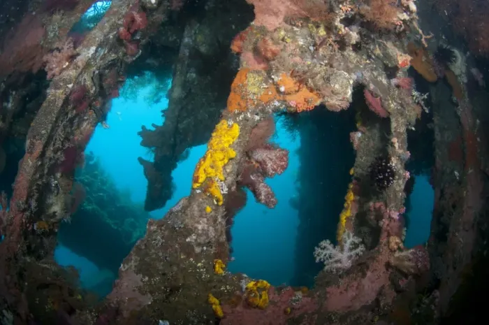 Framed Print : Interior of coral encrusted shipwreck, USAT Liberty (US Army transport ship torpedoed during WWII), Tulamben, Seraya