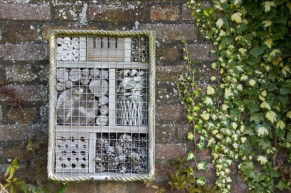 Invertebrate refuge fixed to brick wall, Norfolk, England, August