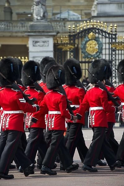 Irish Guards guardsmen in ceremonial uniforms, Changing of the Guard outside palace, Buckingham Palace