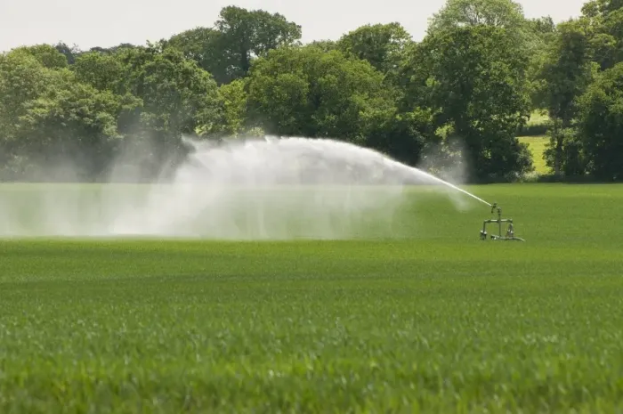 Framed Print : Irrigating crop in field with automated sprinkler system, Norfolk, England, may