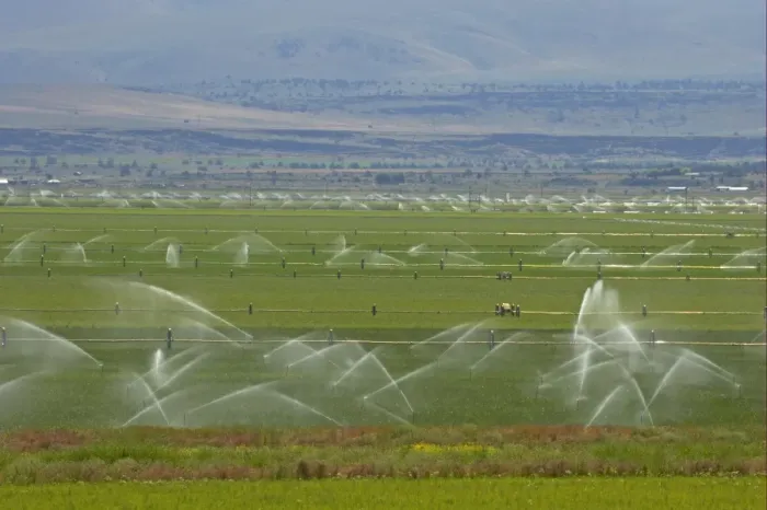 Framed Print : Irrigating crop in field with automated system, farmland in fertile valley, Klamath Falls area, Oregon, U. S. A Framed Print : Irrigating crop in field with automated system, farmland in fertile valley, Klamath Falls area, Oregon, U. S. A