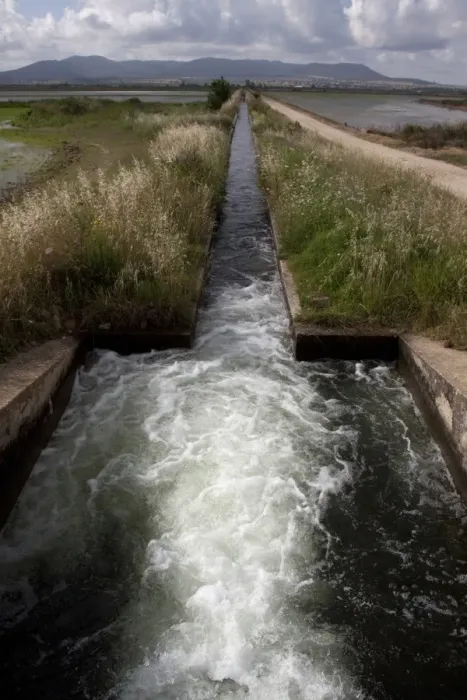 Framed Print : Irrigation channel flows from sluice gate to bring water to rice paddy fields, southern Spain Framed Print : Irrigation channel flows from sluice gate to bring water to rice paddy fields, southern Spain