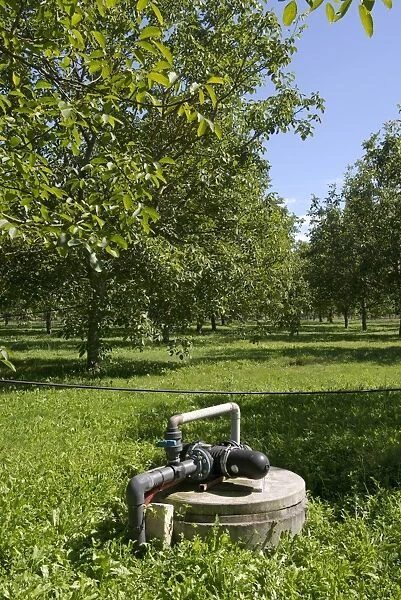 Irrigation and fertigation pump for walnut trees in a walnut orchard at Sainte-Foy-la-Grande, France