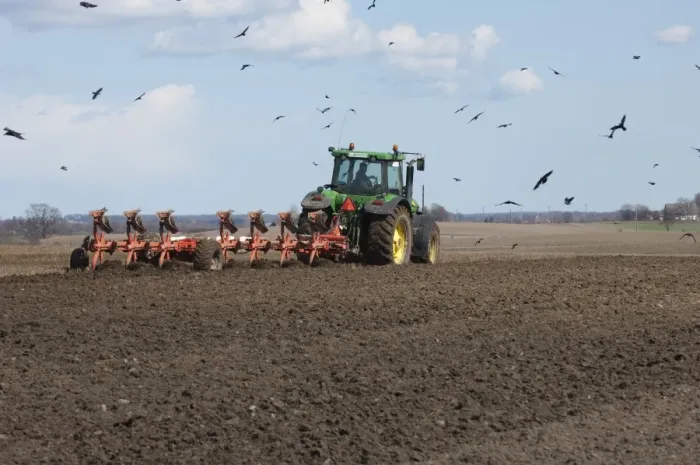 Framed Print : John Deere 7920 tractor pulling seven furrow plough, followed by Rook (Corvus frugilegus) flock, Skane, Sweden, spring Framed Print : John Deere 7920 tractor pulling seven furrow plough, followed by Rook (Corvus frugilegus) flock, Skane, Sweden, spring