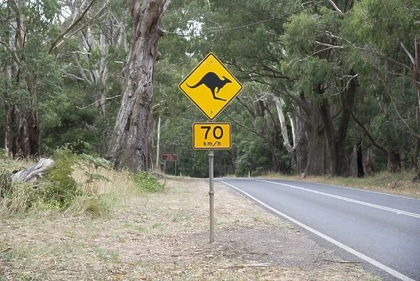 Kangaroo crossing road sign, Wombat State Forest, Trentham, Daylesford, Victoria, Australia, February