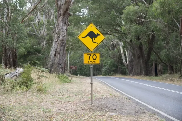 Framed Print : Kangaroo crossing road sign, Wombat State Forest, Trentham, Daylesford, Victoria, Australia, February Framed Print : Kangaroo crossing road sign, Wombat State Forest, Trentham, Daylesford, Victoria, Australia, February