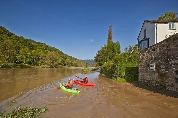 Kayakers on river, with high tide causing flooding, Brockweir, River Wye, Forest of Dean, Gloucestershire, England