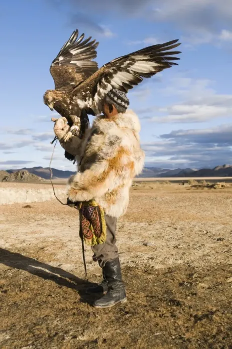 Framed Print : Kazakh hunter with Golden Eagle (Aquila chrysaetos), Altai Mountains, Bayan-Ulgii, Western Mongolia, october Framed Print : Kazakh hunter with Golden Eagle (Aquila chrysaetos), Altai Mountains, Bayan-Ulgii, Western Mongolia, october