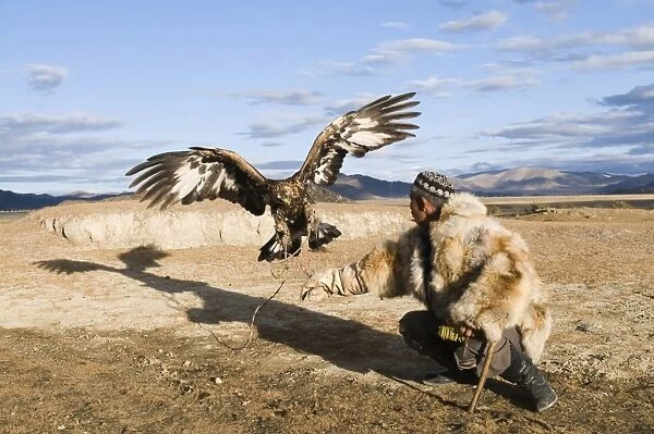 Kazakh hunter with Golden Eagle (Aquila chrysaetos), Altai Mountains, Bayan-Ulgii, Western Mongolia, october