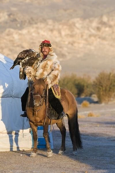 Kazakh hunter on horseback with hooded Golden Eagle (Aquila chrysaetos), Altai Mountains, Bayan-Ulgii
