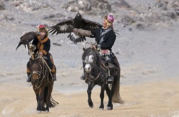 Kazakh hunters on horseback, with hooded Golden Eagles (Aquila chrysaetos), on route to Eagle Hunters Festival