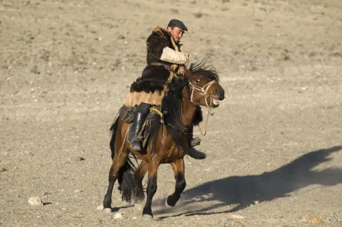 Framed Print : Kazakh nomad on horseback, riding on steppe, Altai Mountains, Bayan-Ulgii, Western Mongolia, october Framed Print : Kazakh nomad on horseback, riding on steppe, Altai Mountains, Bayan-Ulgii, Western Mongolia, october