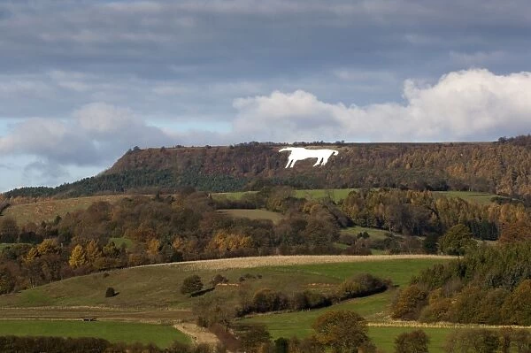 Kilburn White Horse hill figure on hillside, near Kilburn, Vale of York, North Yorkshire, England, november