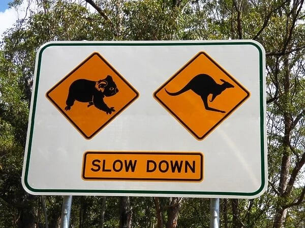 Koala and kangaroo crossing road sign, Queensland, Australia, October