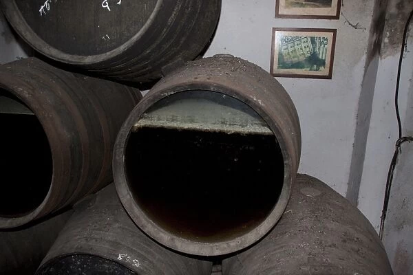 La Gitana sherry at Sanlucar de la Barrameda. A grass fronted sherry barrel show the fermenting process