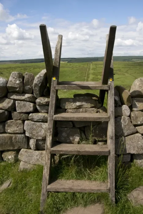 Framed Print : Ladder stile over drystone wall, between Crag Lough and Housesteads, Northumberland N. P. Northumberland, England, July