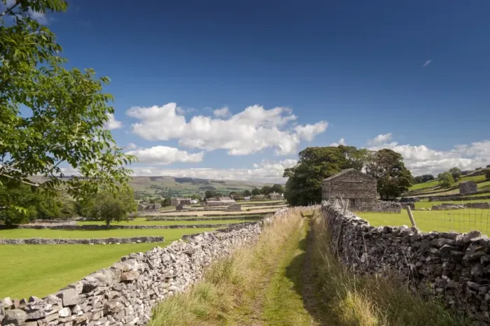 Framed Print : Lane in farmland with drystone walls and stone barns, looking towards towards Burtersett, Shaws Lane, near Hawes Framed Print : Lane in farmland with drystone walls and stone barns, looking towards towards Burtersett, Shaws Lane, near Hawes