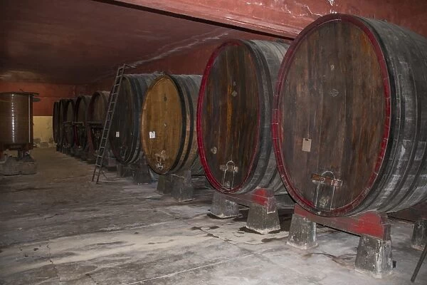 Large oval shaped oak wine casks used for maturing Guasti Clemente wines. Nizza Italy