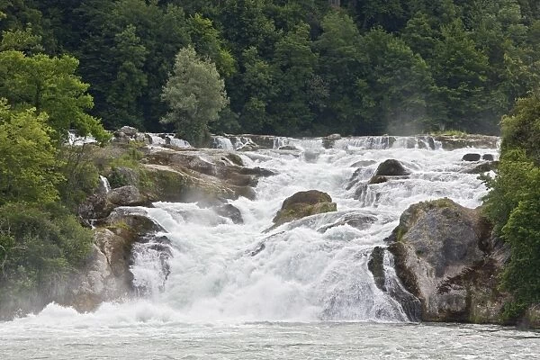 Largest plain waterfall in Europe, Rhine Falls (Rheinfall), Upper Rhine, Schaffhausen, Northern Switzerland, june