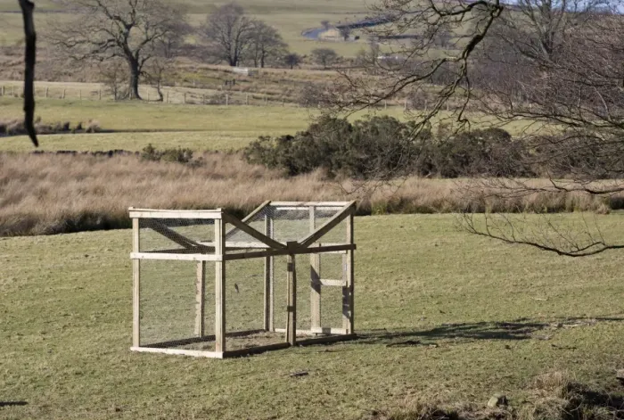 Framed Print : Larsen trap, corvid pest control on farmland, near Marshaw, Abbeystead, Forest of Bowland, Lancashire, England Framed Print : Larsen trap, corvid pest control on farmland, near Marshaw, Abbeystead, Forest of Bowland, Lancashire, England