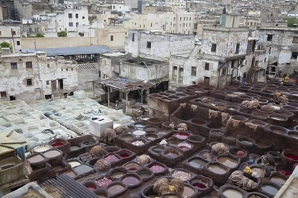 Leather tannery in city, Tanner's Quarter, Fes el Bali, Fes, Morocco, april