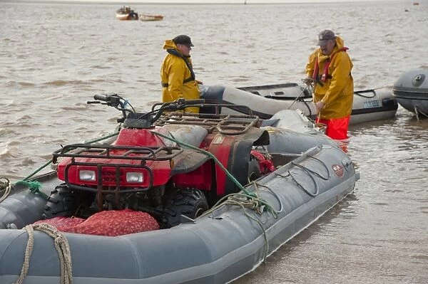 Licensed cockle pickers with quad bike in inflatable boat, unloading after picking from cockle beds, Foulnaze Bank