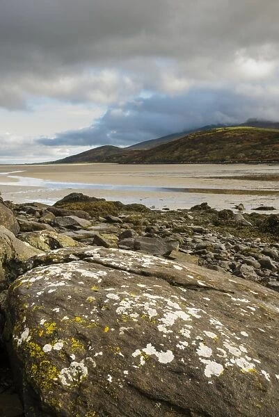 Lichen covered rock and beach at low tide, Cloghane, Dingle Peninsula, County Kerry, Munster, Ireland, November