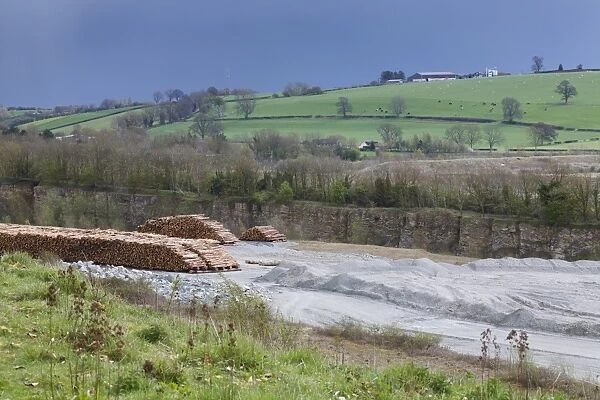 Limestone quarry and stack of felled timber, Lea Quarry South, Wenlock Edge, Shropshire, England, April