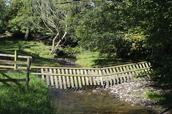 Livestock fence suspended over river, Whitewell, Lancashire, England, october
