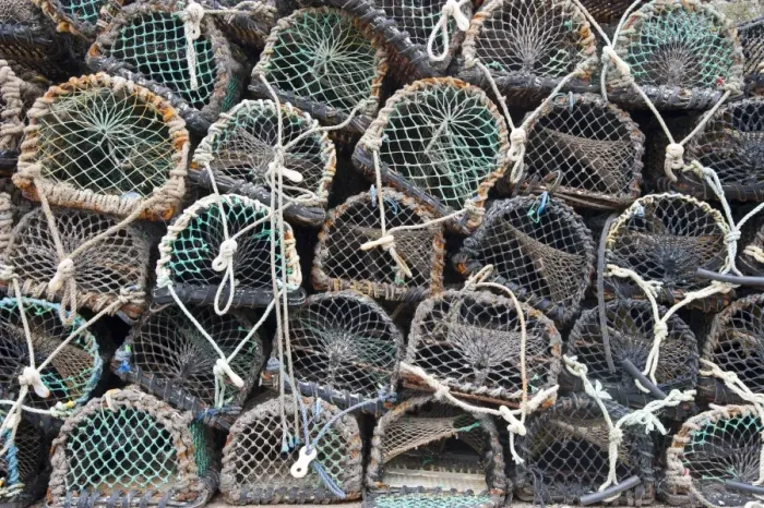 Framed Print : Lobster pots on quayside of harbour, Burnmouth, Scottish Borders, Scotland, july Framed Print : Lobster pots on quayside of harbour, Burnmouth, Scottish Borders, Scotland, july