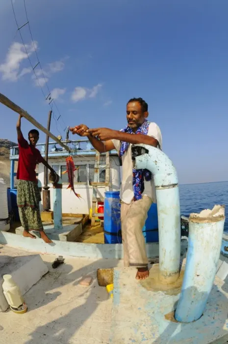 Framed Print : Local fishermen with catch on boat at sea, Socotra, Yemen, march Framed Print : Local fishermen with catch on boat at sea, Socotra, Yemen, march