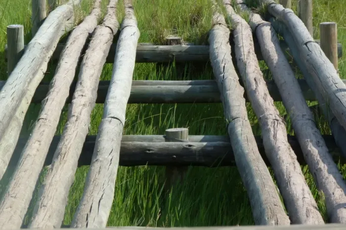 Framed Print : Log bridge over wet ground, Okavango Delta, Botswana